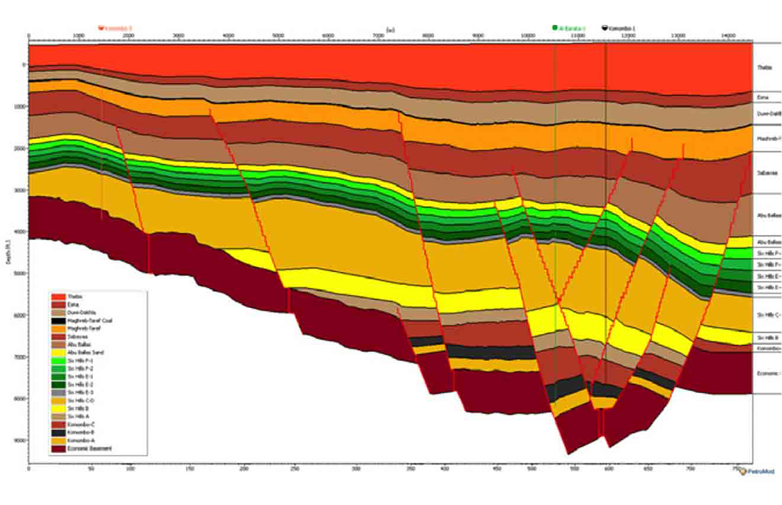 Analysis of PetroMod software simulation results